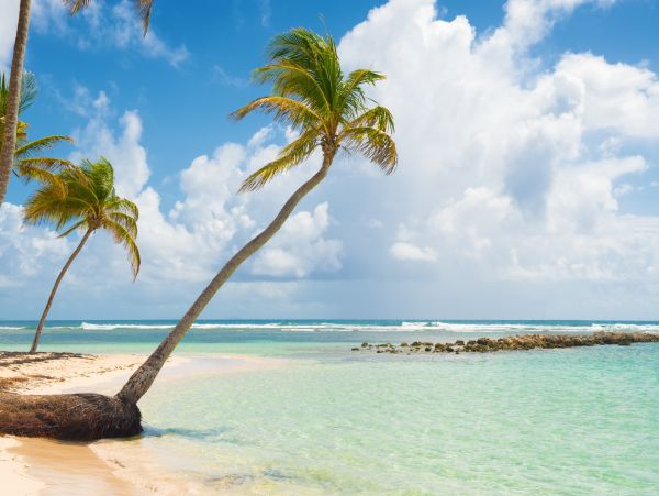 Three Bedroom Vacation Condo Right Next to the Beach in Guadeloupe