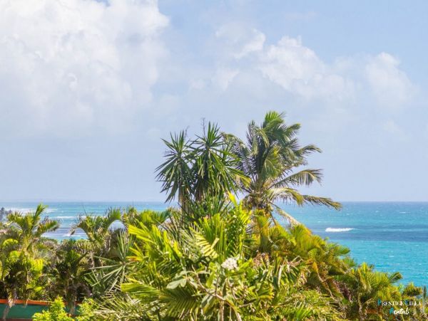 Guadeloupe Home 962668