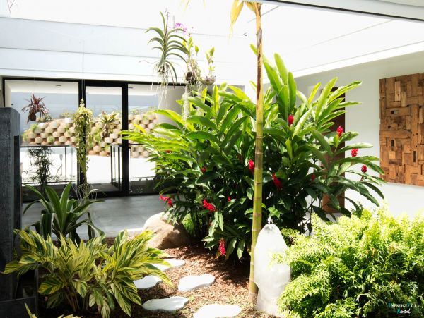 Guadeloupe Home 962672