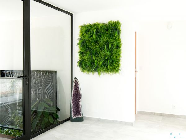 Guadeloupe Home 962672
