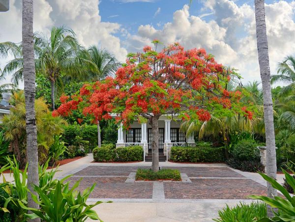 Entire Private Island with 5 Bungalows on Bahamas