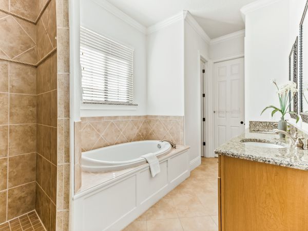 Orlando Home 962749