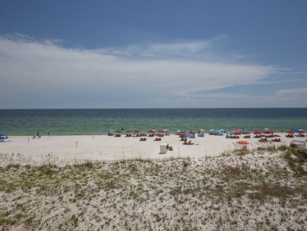 Perdido Key Condo 962814