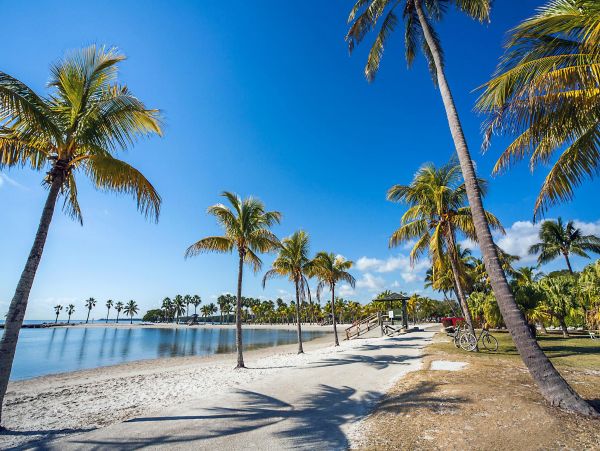 Miami Luxury Vacation Rental Home Five Bedrooms Private Pool