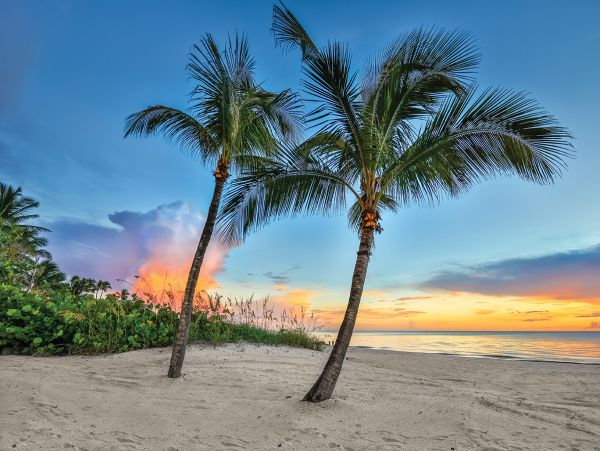 Naples Vacation Pool Home Sleeps 6 Guests