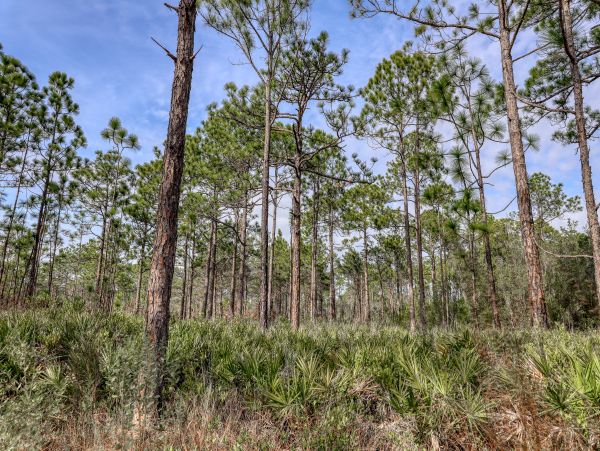 Beaches Of South Walton Condo 962901