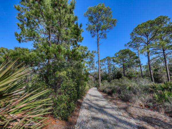 Beaches Of South Walton Condo 962901