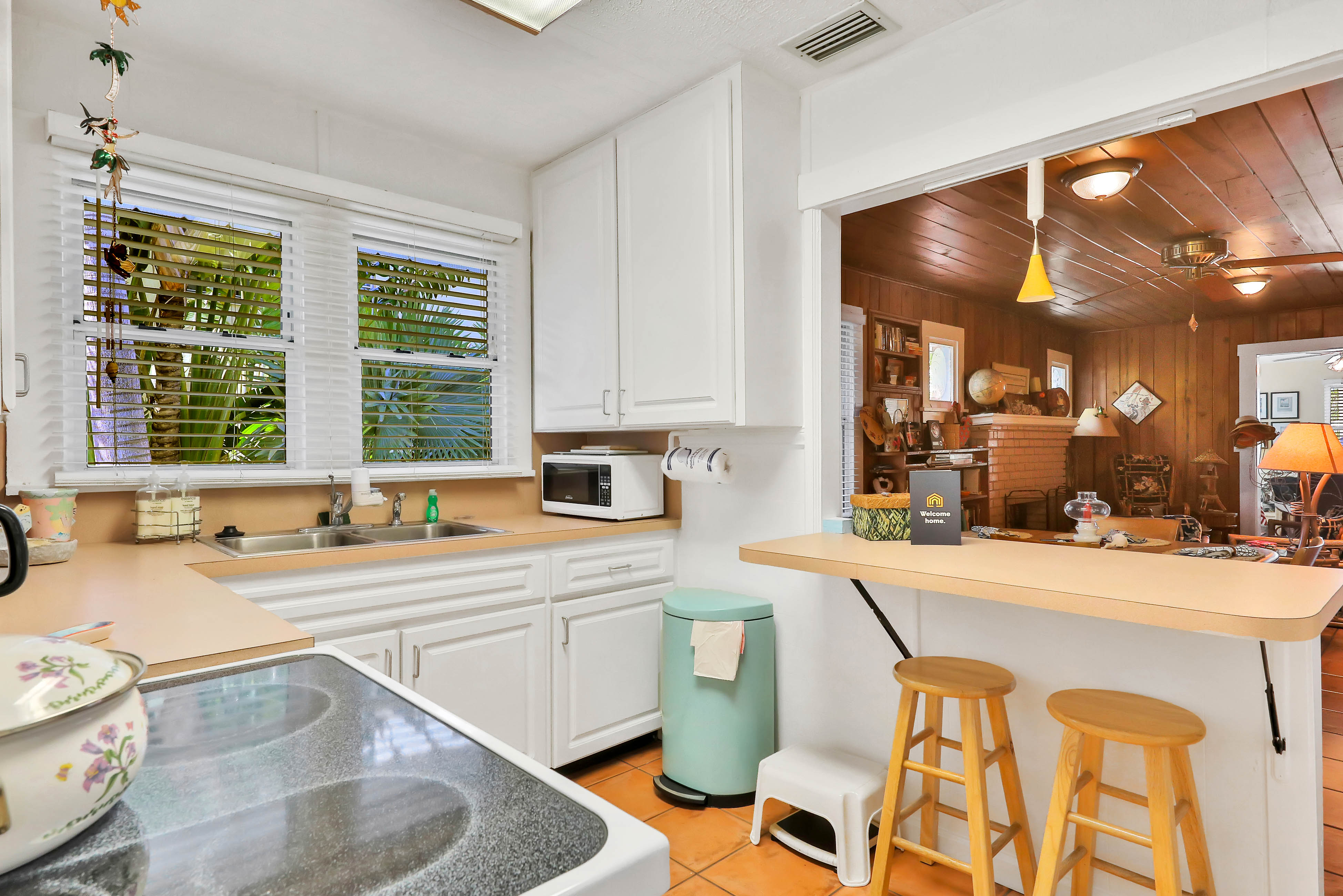 St. Petersburg Home 962964
