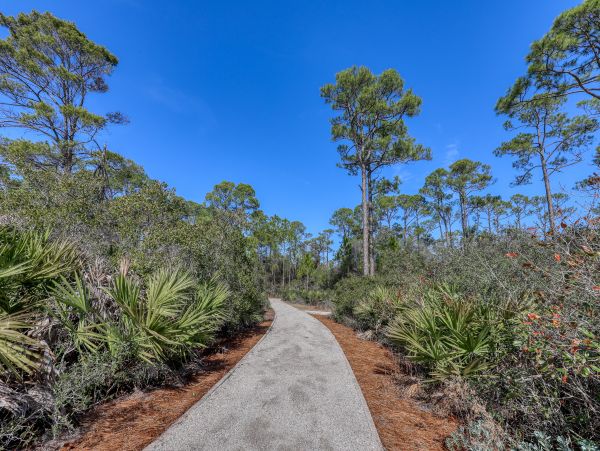 Beaches Of South Walton Condo 962981