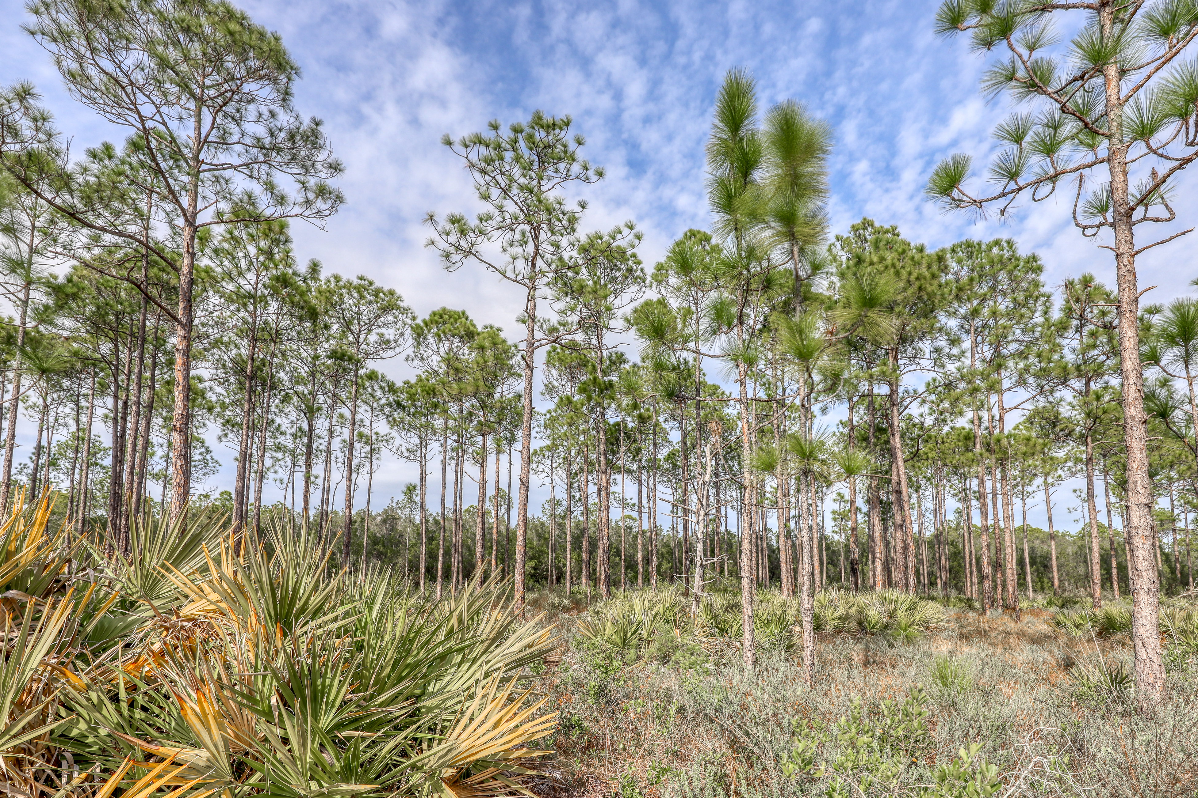 Beaches Of South Walton Condo 962981