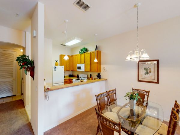 Orlando Condo 963030