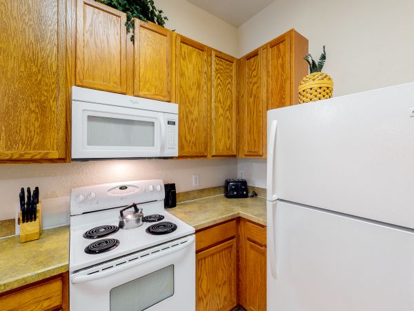 Orlando Home 963097
