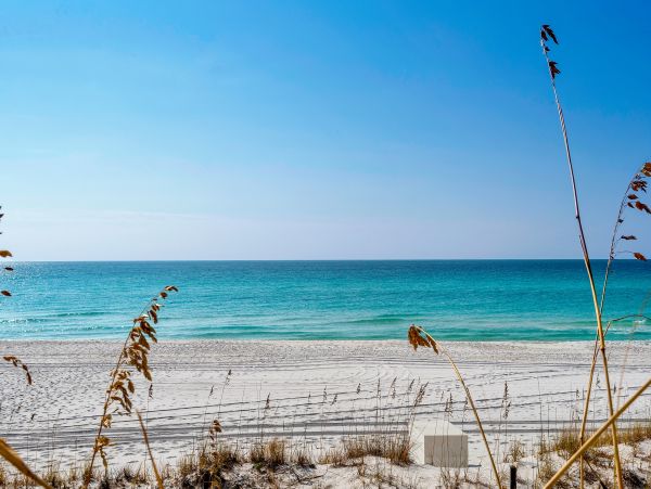 Beaches Of South Walton Condo 963109