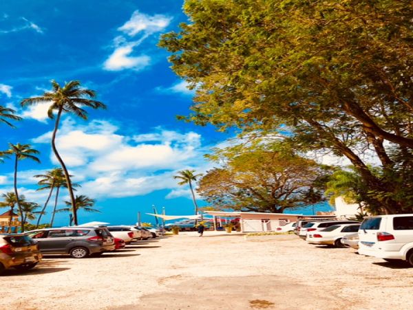 Fantastic Vacation Villa Exclusive Community in St. James
