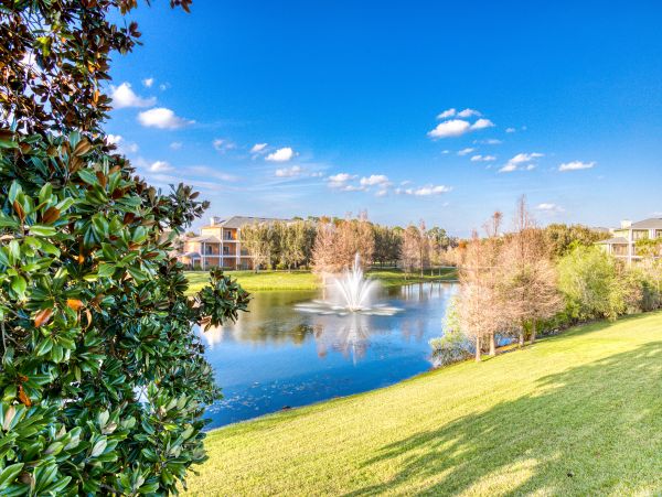 Orlando Condo 963192