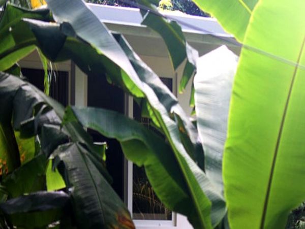 Playa Santa Teresa Home 963259