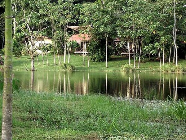 La Fortuna Volcan Arenal Home 963268