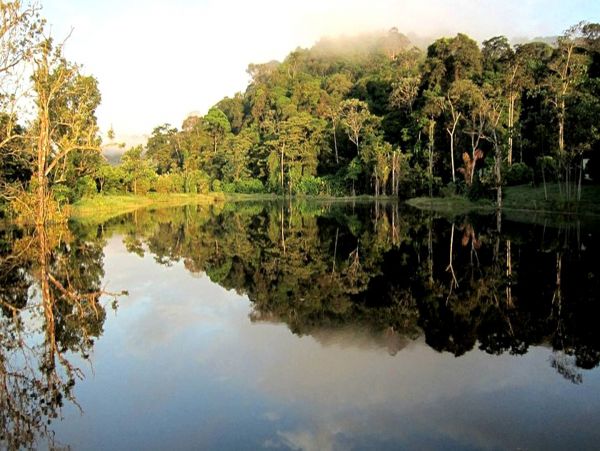 La Fortuna Volcan Arenal Home 963268