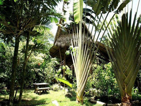 Other Cities  Costa Rica Home 963273