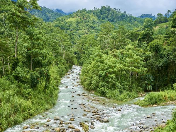 Manuel Antonio Quepos Home 963287