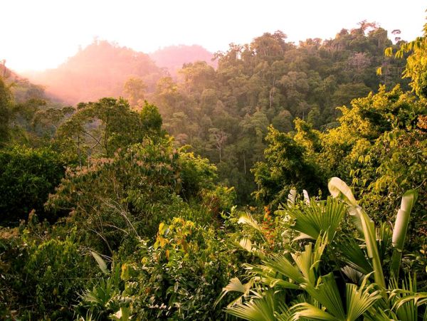 Other Cities  Costa Rica Home 963290