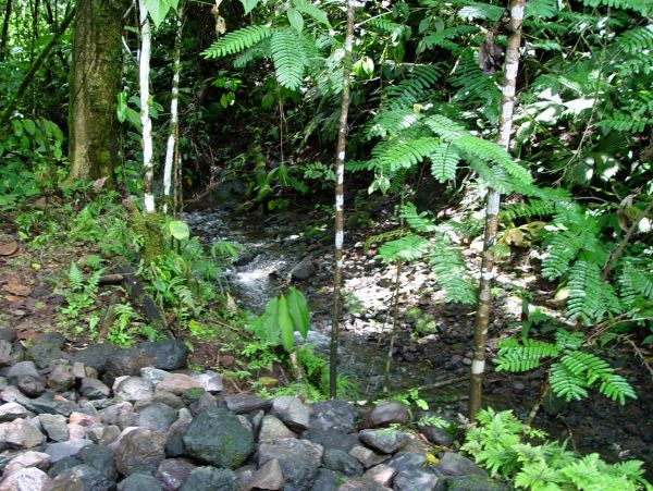 Manuel Antonio Quepos Home 963296
