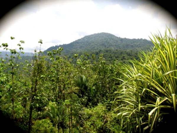 Manuel Antonio Quepos Home 963296