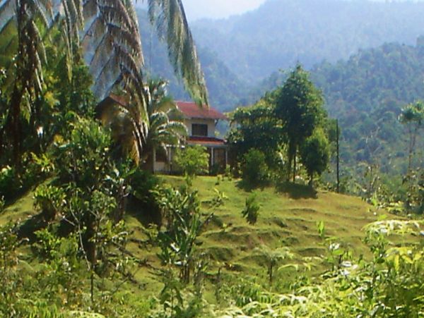 Manuel Antonio Quepos Home 963296