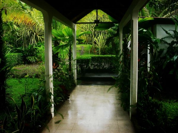 Manuel Antonio Quepos Home 963296
