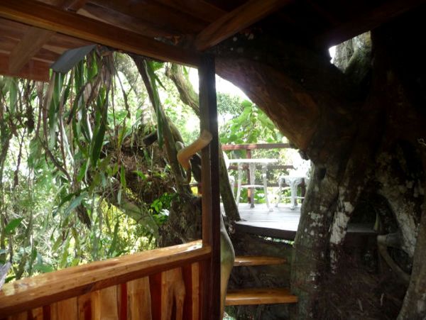 Cahuita Home 963299