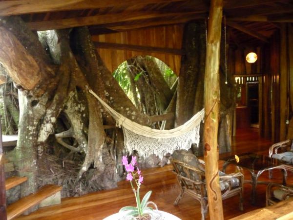 Cahuita Home 963299