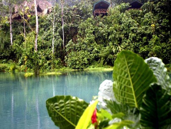 Manuel Antonio Quepos Home 963300
