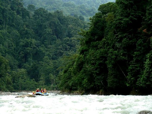 Manuel Antonio Quepos Home 963300