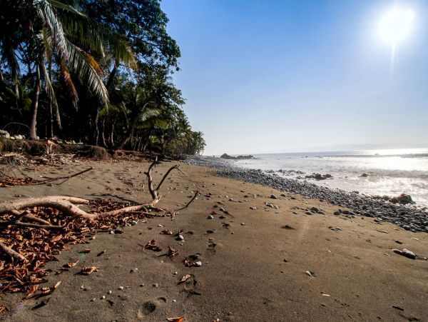 Manuel Antonio Quepos Home 963305
