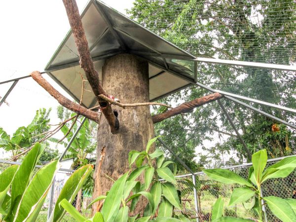 La Fortuna Volcan Arenal Home 963310