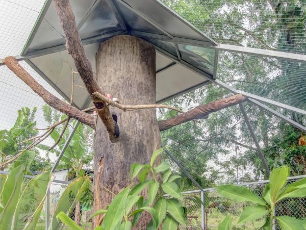 La Fortuna Volcan Arenal Home 963311