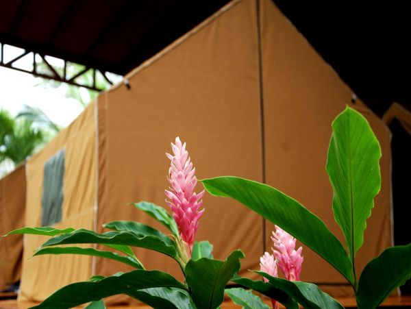 La Fortuna Volcan Arenal Home 963313