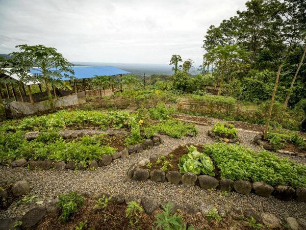 La Fortuna Volcan Arenal Home 963317