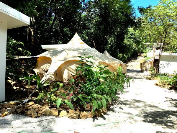 Nosara Home 963318