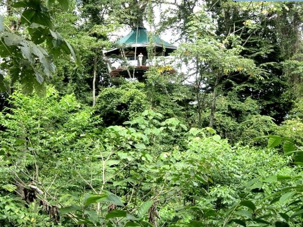 Puerto Viejo Home 963321