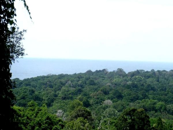 Puerto Viejo Home 963321