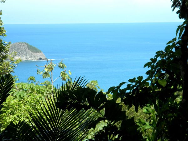 Manuel Antonio Quepos Home 963324