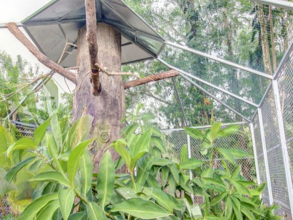 La Fortuna Volcan Arenal Home 963327