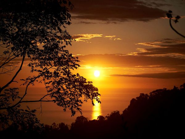 Manuel Antonio Quepos Home 963331