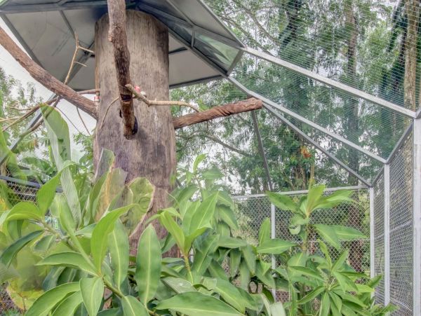 La Fortuna Volcan Arenal Home 963333