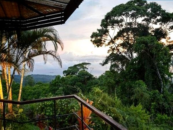 Manuel Antonio Quepos Home 963336