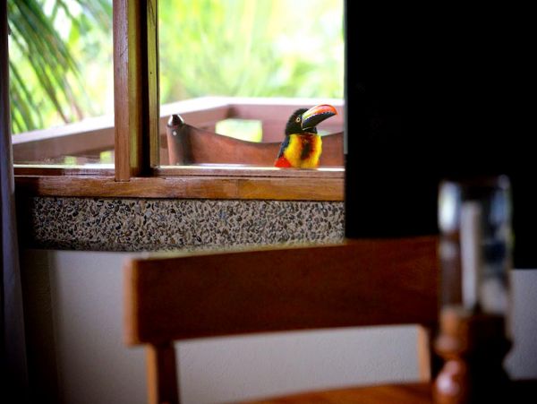 Manuel Antonio Quepos Home 963342