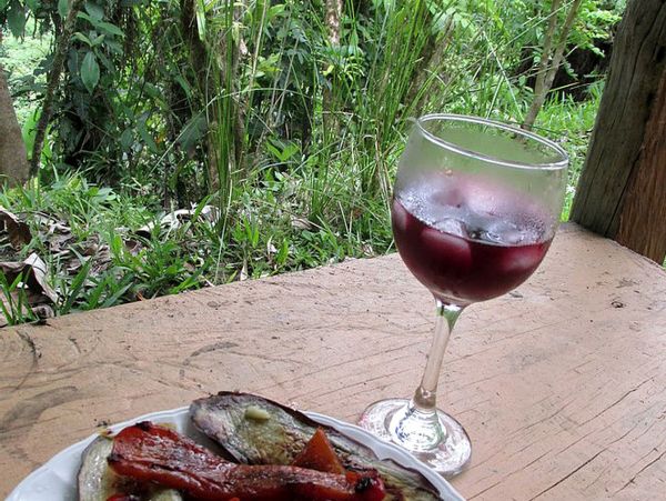 Manuel Antonio Quepos Home 963351