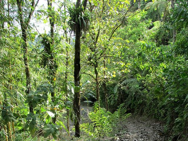 Manuel Antonio Quepos Home 963351