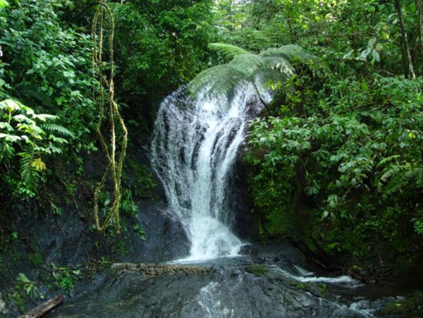 Manuel Antonio Quepos Home 963351
